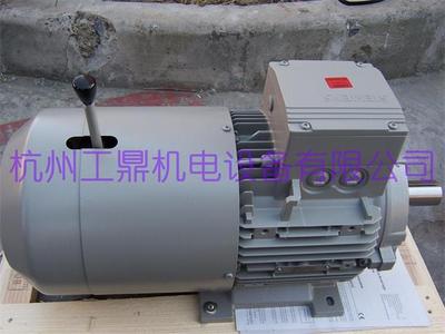 西门子刹车电机 | 1LE0001系列-制动电机