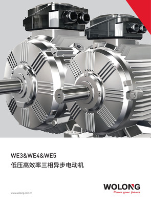 卧龙WE系列低压三相异步电动机