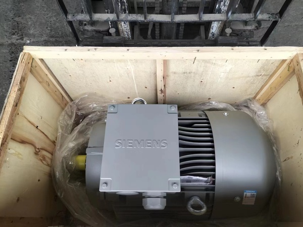 西门子高效电机 | 1LE0003系列