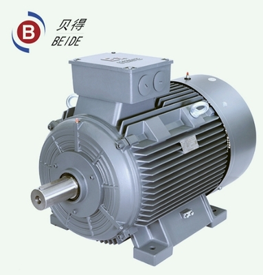贝得电动机1MT0013系列 粉尘防爆电机 0.55KW~315KW F/B IC411 IP55 BEIDE