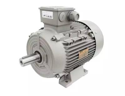 西门子铝壳电机|1LE0303